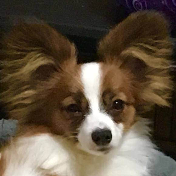 Meet your Posher, Stephanie - Picture 1 of 1